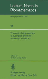 Theoretical Approaches to Complex Systems