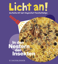 In den Nestern der Insekten