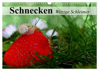 Schnecken. Witzige Schleimer (Wandkalender 2025 DIN A3 quer), CALVENDO Monatskalender