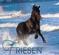 Friesen 2024