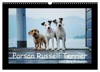 Parson Russell Terrier (Wandkalender 2025 DIN A3 quer), CALVENDO Monatskalender