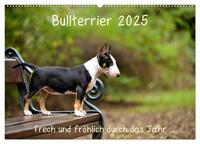 Bullterrier 2025 Frech und fröhlich durch das Jahr (Wandkalender 2025 DIN A2 quer), CALVENDO Monatskalender