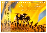 Im Goldenen Glanz der Sonnenblume (Tischkalender 2025 DIN A5 quer), CALVENDO Monatskalender