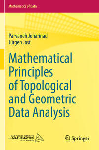 Mathematical Principles of Topological and Geometric Data Analysis