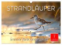 Strandläufer - immer flink unterwegs (Wandkalender 2025 DIN A3 quer), CALVENDO Monatskalender