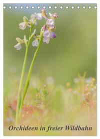 Orchideen in freier Wildbahn (Tischkalender 2025 DIN A5 hoch), CALVENDO Monatskalender