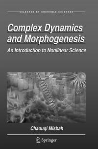 Complex Dynamics and Morphogenesis