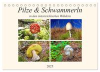 Pilze & Schwammerln (Tischkalender 2025 DIN A5 quer), CALVENDO Monatskalender