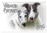 Windhund Portrait 2025 White Edition (Tischkalender 2025 DIN A5 quer), CALVENDO Monatskalender