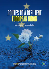 Routes to a Resilient European Union