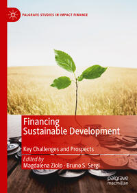 Financing Sustainable Development