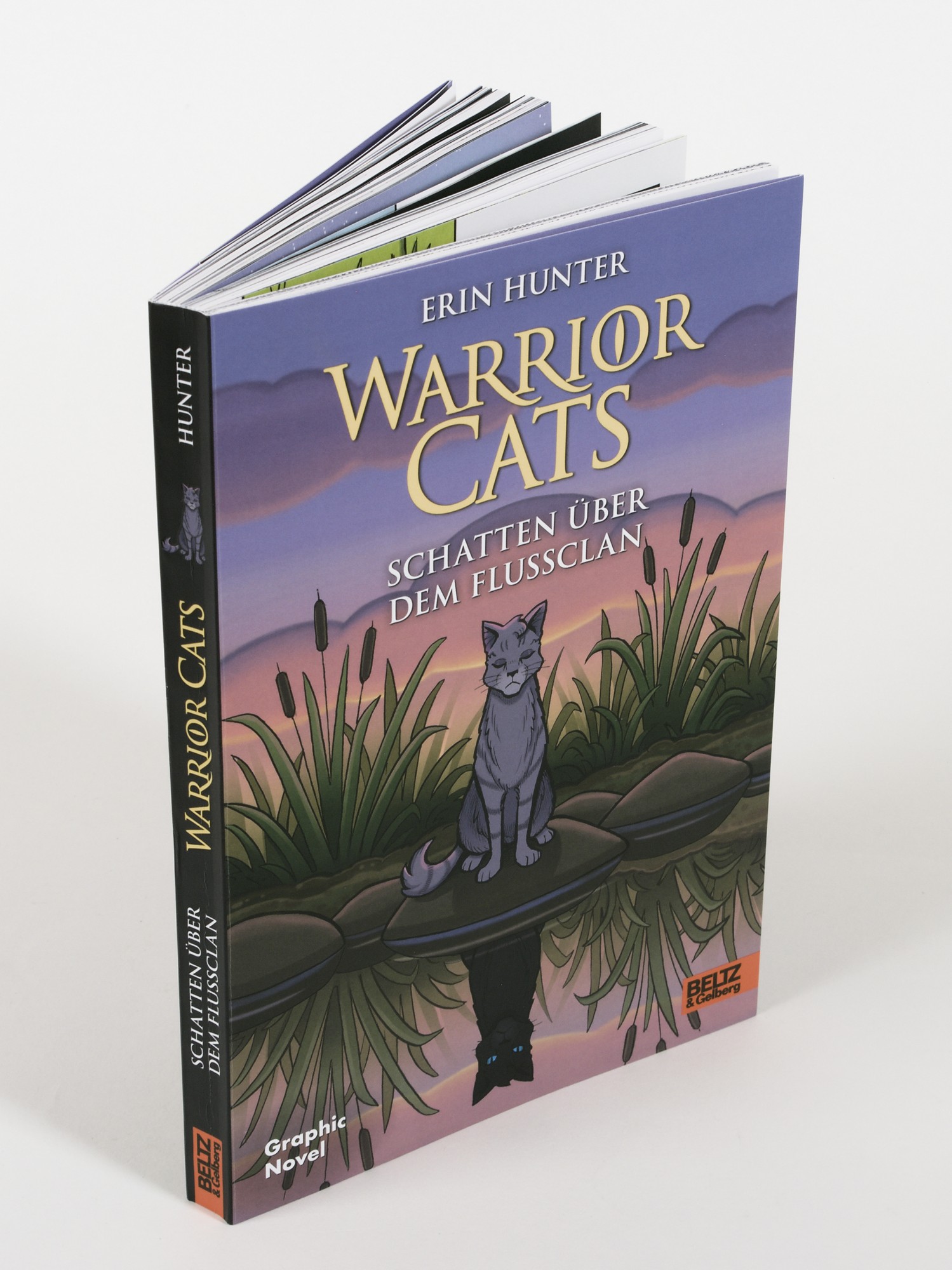 Warrior Cats - Schatten über dem FlussClan