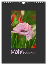 Mohn (Wandkalender 2025 DIN A4 hoch), CALVENDO Monatskalender