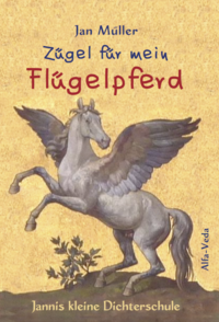 Zügel für mein Flügelpferd