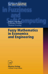 Fuzzy Mathematics in Economics and Engineering