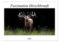 Faszination Hirschbrunft (Wandkalender 2025 DIN A2 quer), CALVENDO Monatskalender