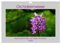 Orchideenwiese 2025 (Wandkalender 2025 DIN A4 quer), CALVENDO Monatskalender