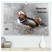 Abenteuer einer Mandarinente (hochwertiger Premium Wandkalender 2025 DIN A2 quer), Kunstdruck in Hochglanz