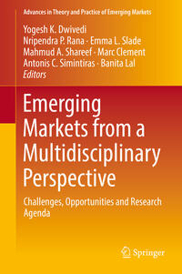 Emerging Markets from a Multidisciplinary Perspective