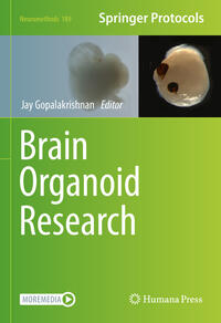 Brain Organoid Research