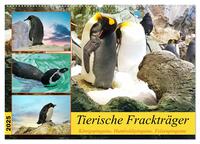 Tierische Frackträger (Wandkalender 2025 DIN A2 quer), CALVENDO Monatskalender