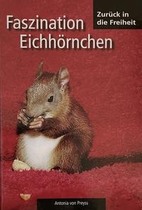 Faszination Eichhörnchen