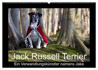 Jack Russell Terrier.....Ein Verwandlungskünstler namens Jake (Wandkalender 2025 DIN A2 quer), CALVENDO Monatskalender