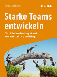 Starke Teams entwickeln