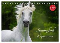 Traumpferd Lipizzaner (Tischkalender 2025 DIN A5 quer), CALVENDO Monatskalender