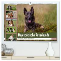 Mäjestätische Rassehunde auf Feld, Wald und Wiese (hochwertiger Premium Wandkalender 2025 DIN A2 quer), Kunstdruck in Hochglanz