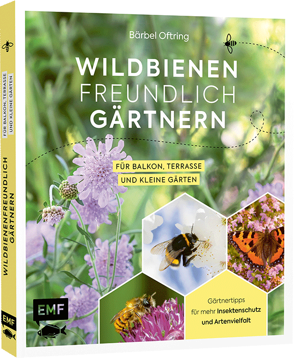 Wildbienenfreundlich gärtnern für Balkon, Terrasse und kleine Gärten