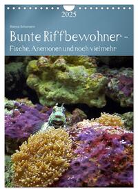 Bunte Riffbewohner - Fische, Anemonen und noch viel mehr (Wandkalender 2025 DIN A4 hoch), CALVENDO Monatskalender