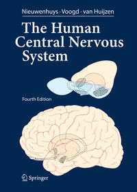 The Human Central Nervous System