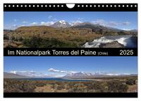 Im Nationalpark Torres del Paine (Chile) (Wandkalender 2025 DIN A4 quer), CALVENDO Monatskalender