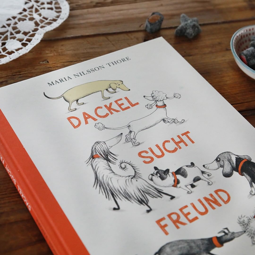 Dackel sucht Freund