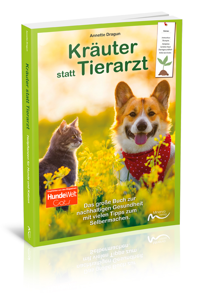 Kräuter statt Tierarzt