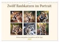 Zwölf Raubkatzen im Portrait (Wandkalender 2026 DIN A4 quer), CALVENDO Monatskalender