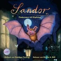 Sandor – Fledermaus mit Köpfchen