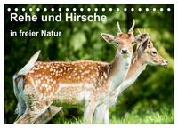 Rehe und Hirsche in freier Natur (Tischkalender 2025 DIN A5 quer), CALVENDO Monatskalender