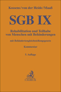 SGB IX