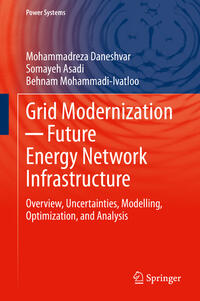 Grid Modernization - Future Energy Network Infrastructure