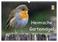 Heimische Gartenvögel (Wandkalender 2025 DIN A3 quer), CALVENDO Monatskalender