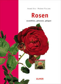 Rosen