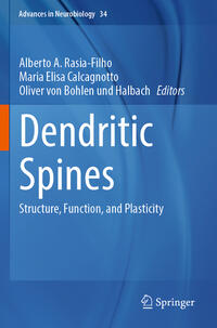 Dendritic Spines