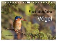 Faszination Afrika - Vögel (Wandkalender 2025 DIN A4 quer), CALVENDO Monatskalender