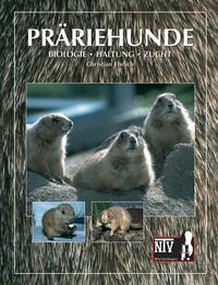 Präriehunde