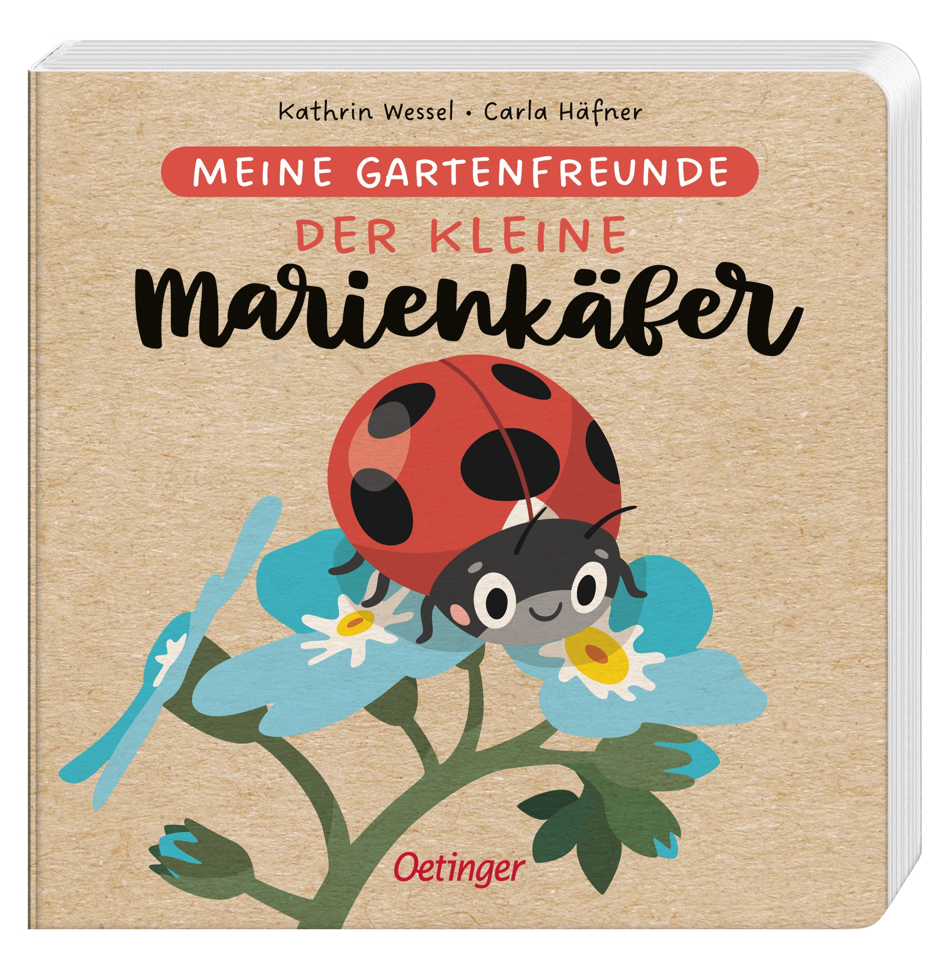 Meine Gartenfreunde. Der kleine Marienkäfer