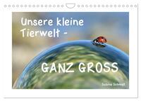 Unsere kleine Tierwelt - GANZ GROSS (Wandkalender 2025 DIN A4 quer), CALVENDO Monatskalender