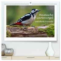 Heimische Gartenvögel - Gefiederte Freunde (hochwertiger Premium Wandkalender 2025 DIN A2 quer), Kunstdruck in Hochglanz