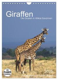 Giraffen - Die Grazien in Afrikas Savannen (Wandkalender 2025 DIN A4 hoch), CALVENDO Monatskalender